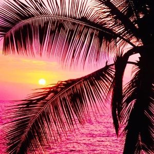 Meet your Posher, Joyce